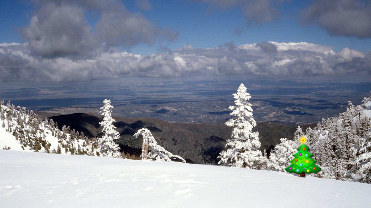 Holiday landscape