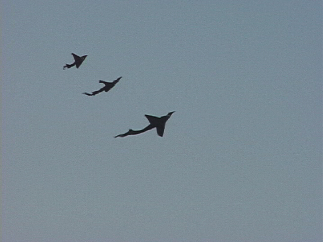 kites