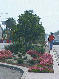 east_from_green2