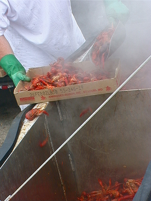 crawfish_boil11
