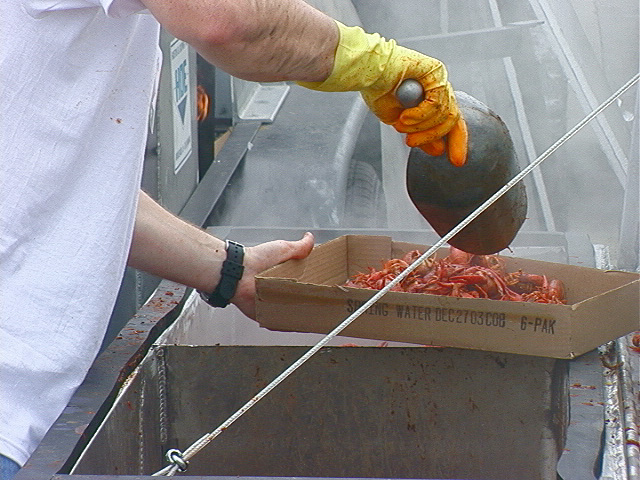 crawfish_boil5
