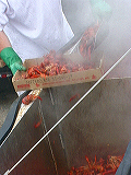 crawfish_boil11