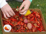 crawfish_entree3