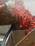 cooking_crawfish4