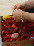 eating_crawfish1