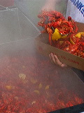 serving_crawfish5