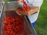 serving_crawfish6