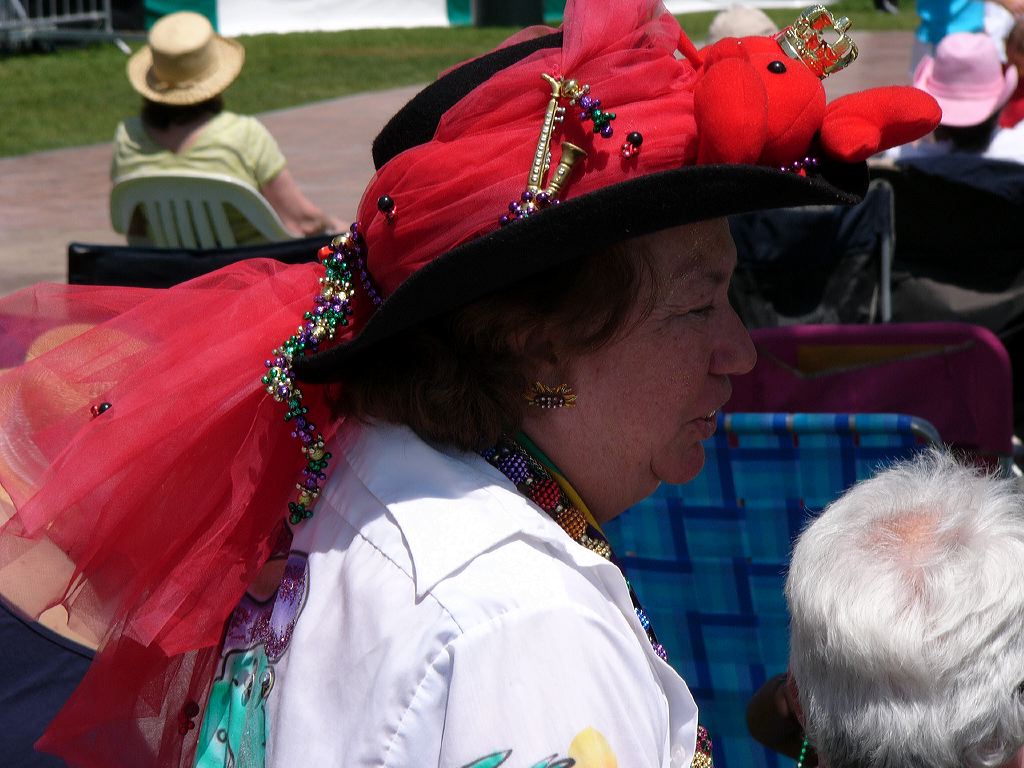 p1010429festivehat.jpg