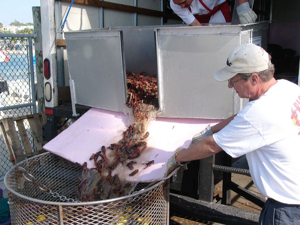 p1010503-2crawfishcooking.jpg