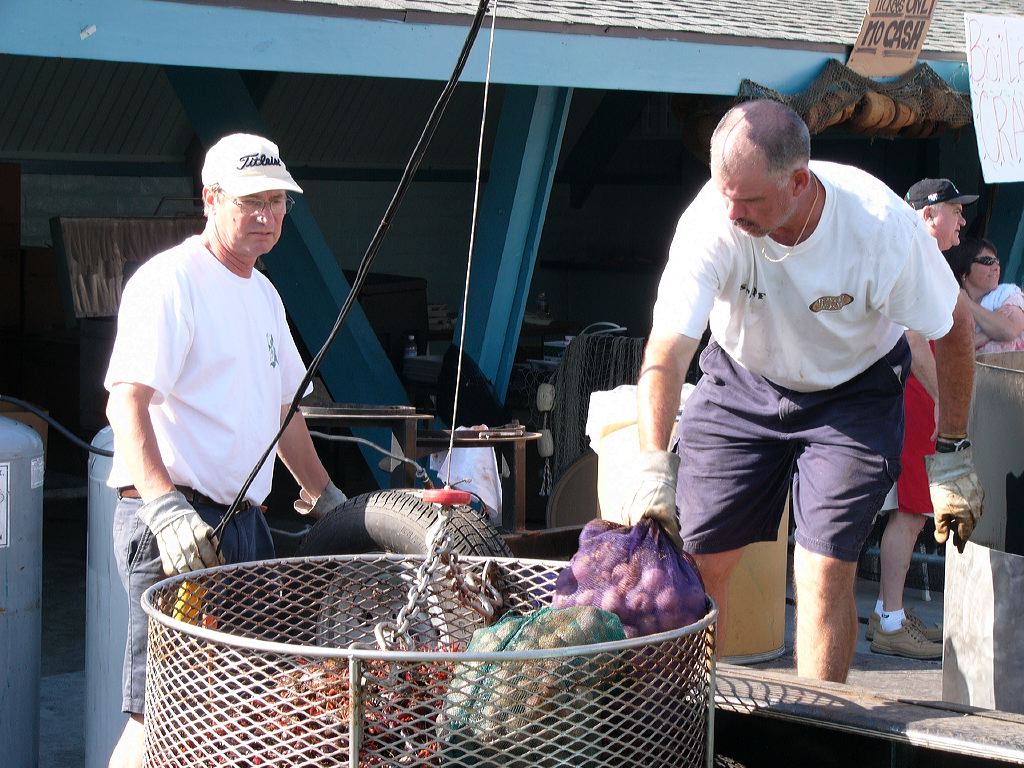 p1010513crawfishcooking.jpg