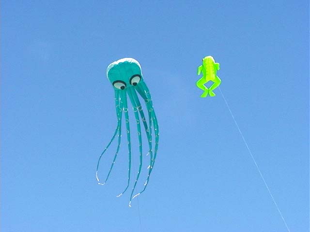 octopus_frog_kite
