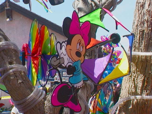 sunshine_kite_display