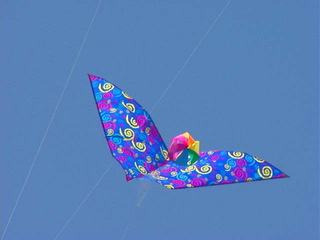 wing_kite2