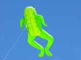 kite_guy_frog_kite