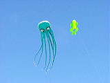 octopus_frog_kite