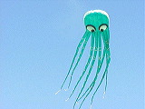 octopus_kite