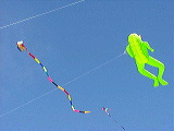 snake_frog_kite