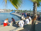 lagoon_relaxed_dining