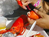 lobster_eating