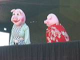 puppet_show1_pigs