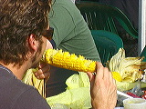 corn_eating