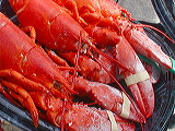 lobster_ready3