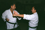 academy_judo_karate6-demo
