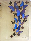 j_lence_butterfly_art2