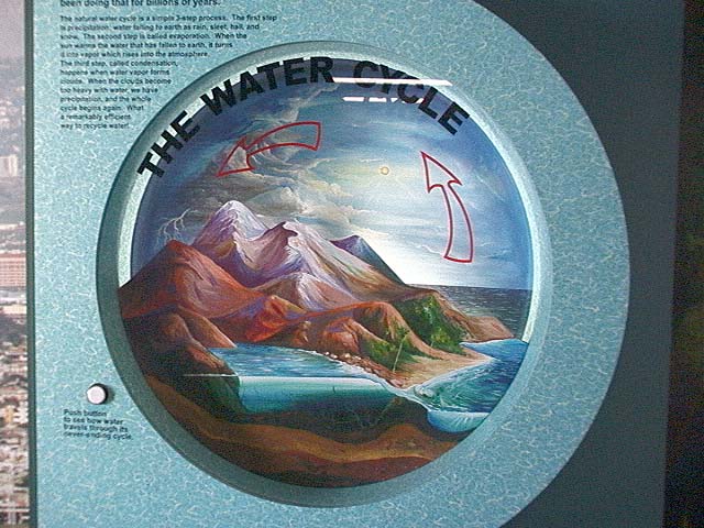water_cycle