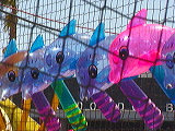 arcade_dolphins