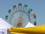 skydiver2