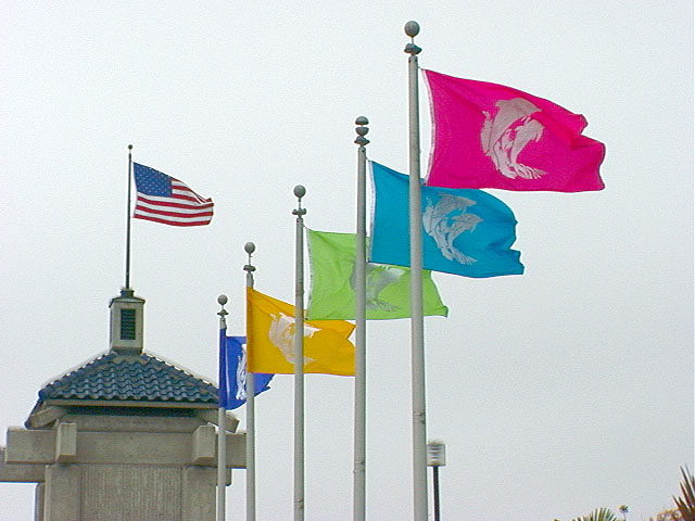boardwalkflags